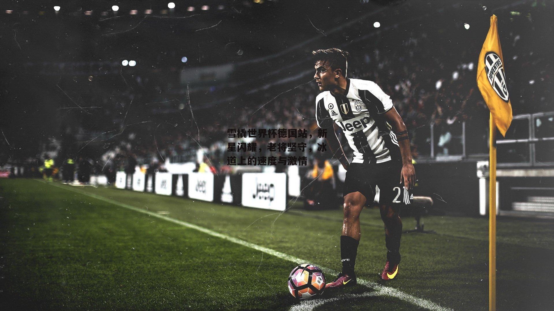 雪橇世界杯德国站,新星闪耀,老将坚守,冰道上的速度与激情